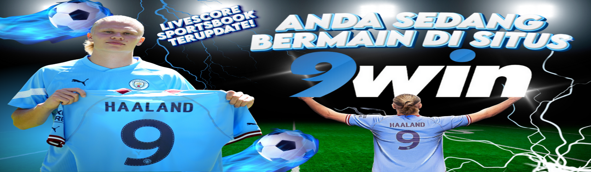 SENDAL4D Desktop
